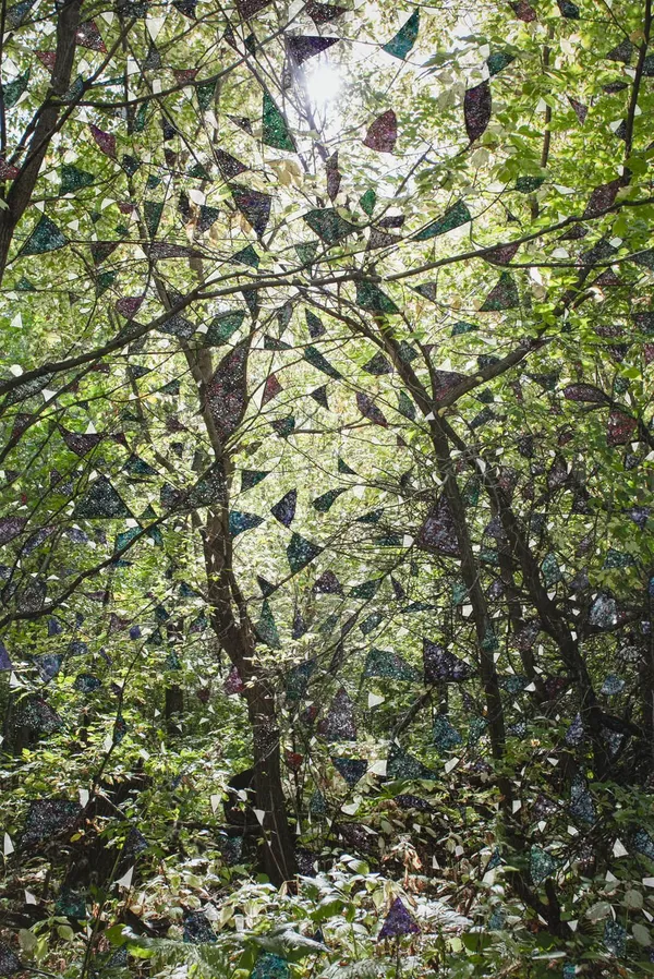 Sarah Anne Johnson, PTMW2, 2020