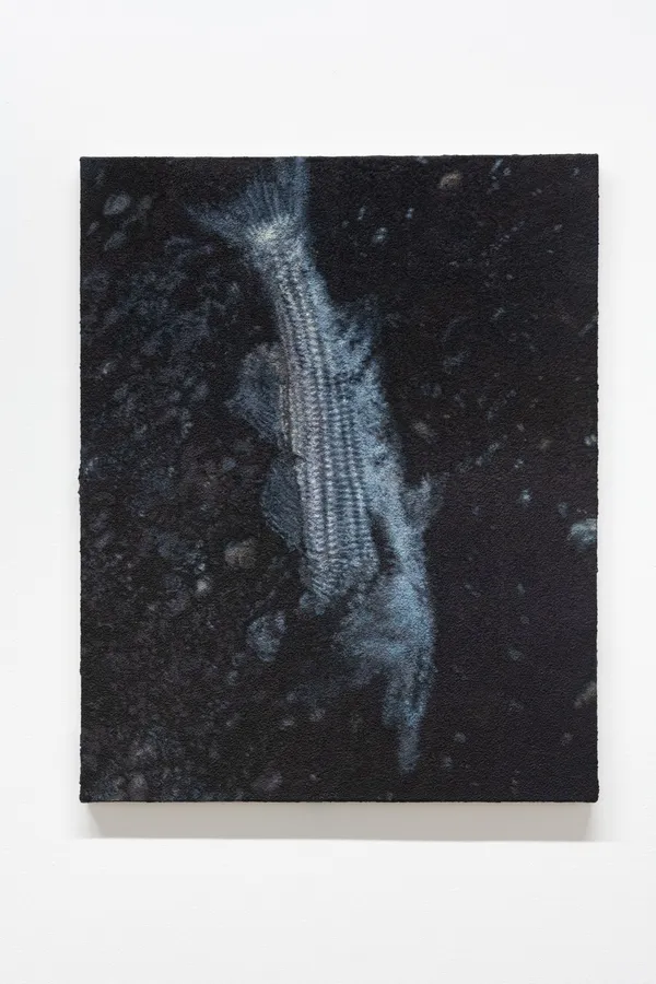 Nicolas Lachance, Sans titre, 2022-23