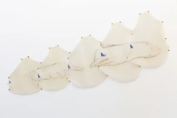 Paula McLean, Margaret of Austria, 2024