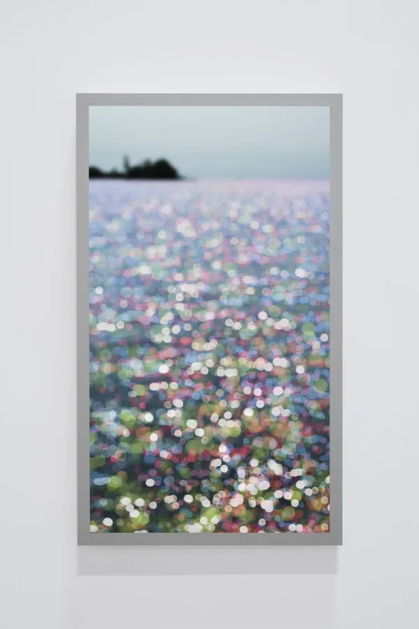 Scott McFarland, Lake Effect Light With Colour Channel Separations, 2020