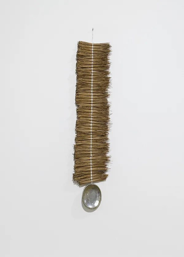 Leeay Aikawa, Bindu (pine needle), 2024