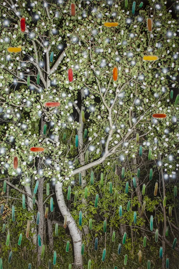 Sarah Anne Johnson, MCN2, 2020