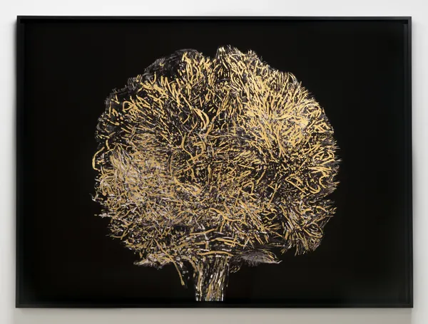 Geneviève Cadieux, Le lieu de l'esprit, 2025