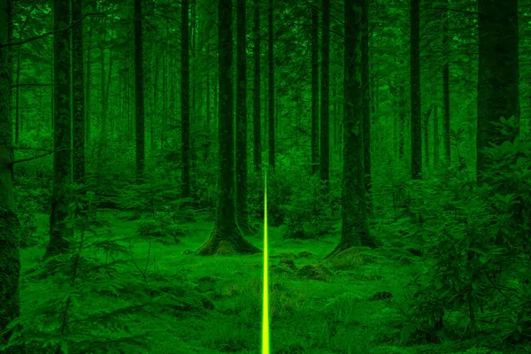 Nicolas Baier, Player One, 2020