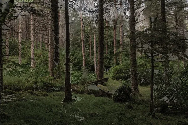 Nicolas Baier, Diaphane, 2018