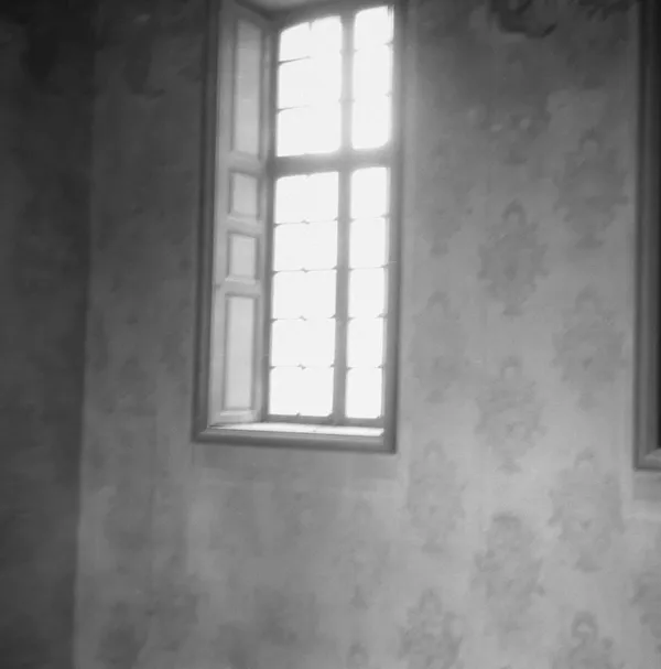 Angela Grauerholz, Corner with Window 1/5, 2022