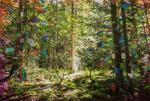 Sarah Anne Johnson, Pieces of you, 2026