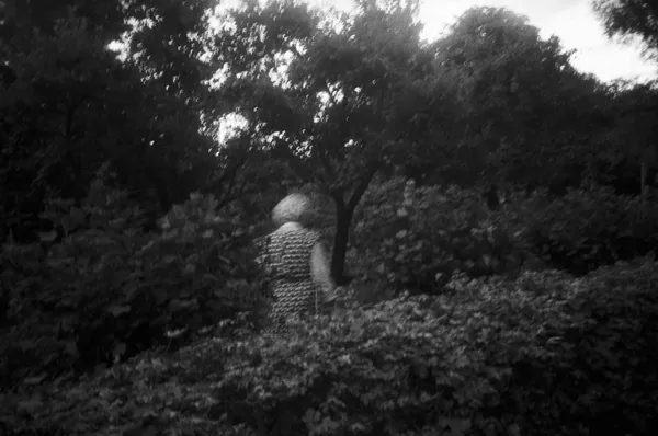 Angela Grauerholz, Disparition, 1994