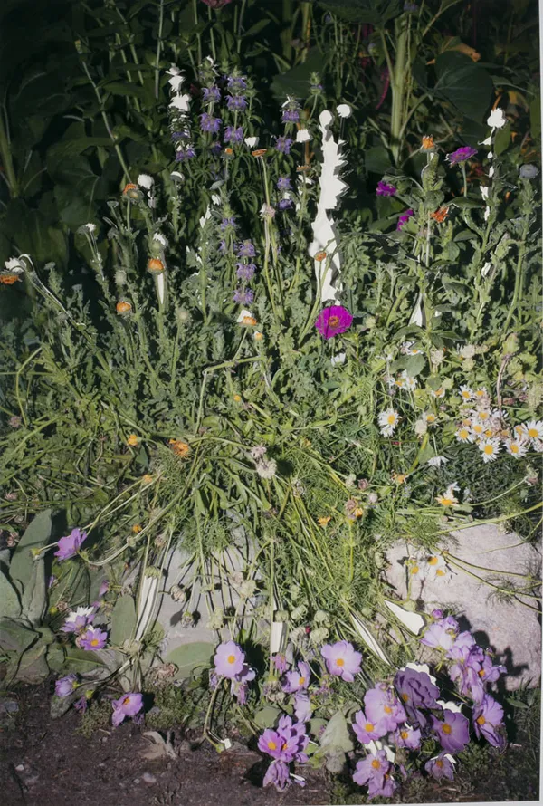 Sarah Anne Johnson, Smashed Flowers, 2015