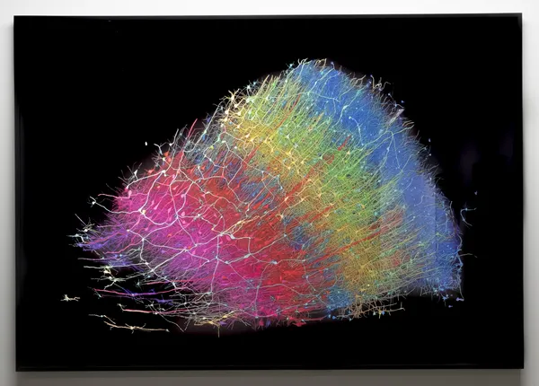 Geneviève Cadieux, Fragment d'esprit 1, 2024