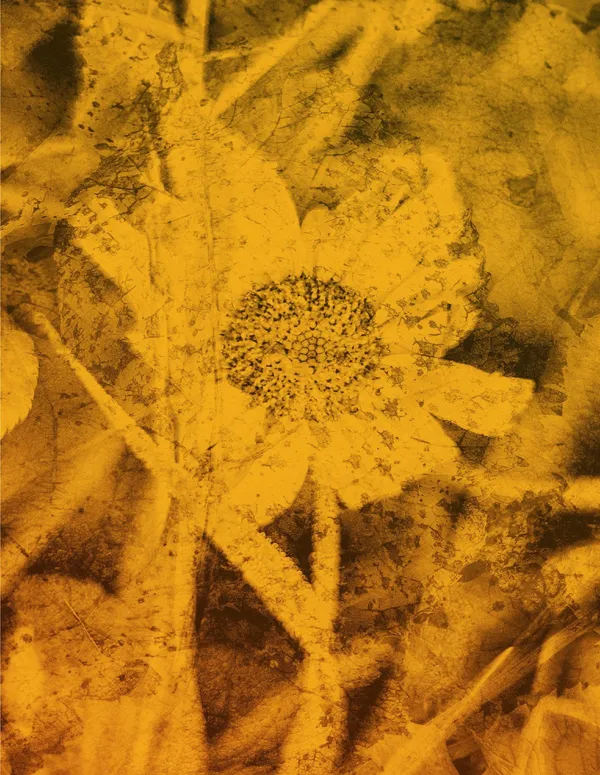 Pascal Grandmaison - Les champs magnétiques 04, 2024