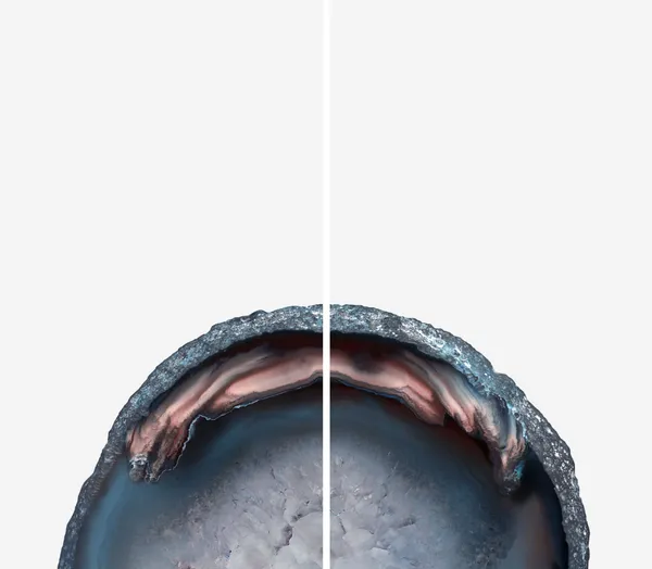 Yann Pocreau, Les mailles élémentaires, 2021