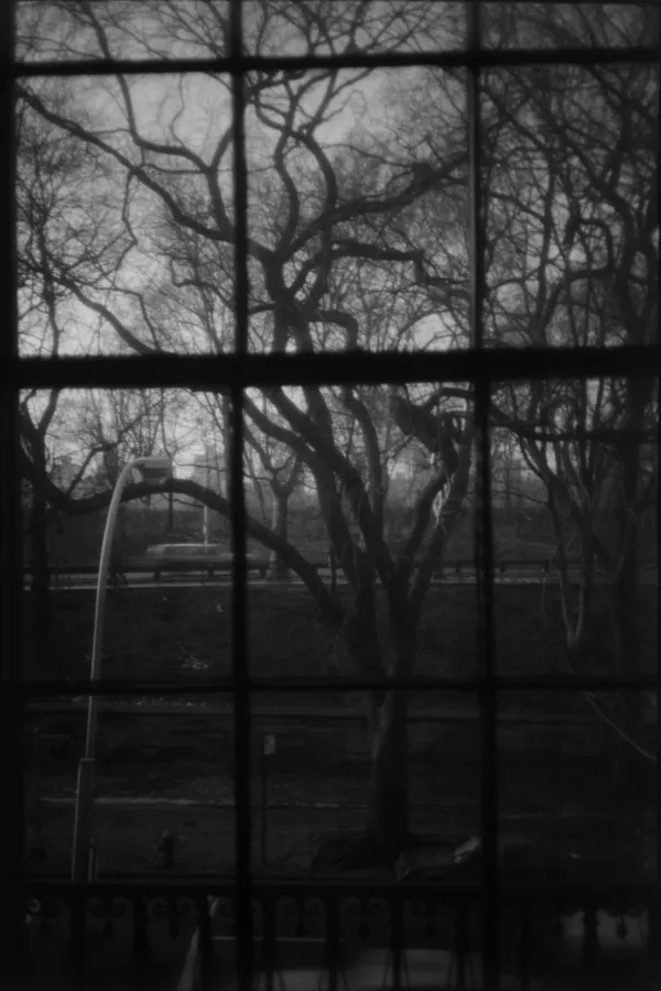 Angela Grauerholz, Sententia XXXV (35) 2/2, 1998