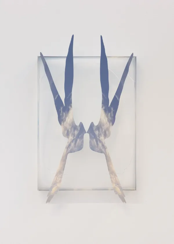 Andrew Harding, Dovetail, 2024