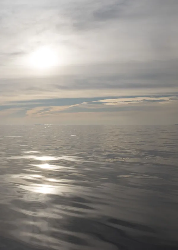 Patrick Coutu, Marine, 17.08.2022, 2022