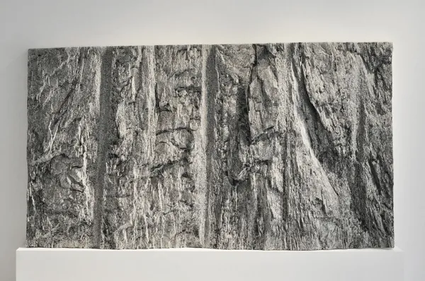 Patrick Coutu, Roche-mère, 2019