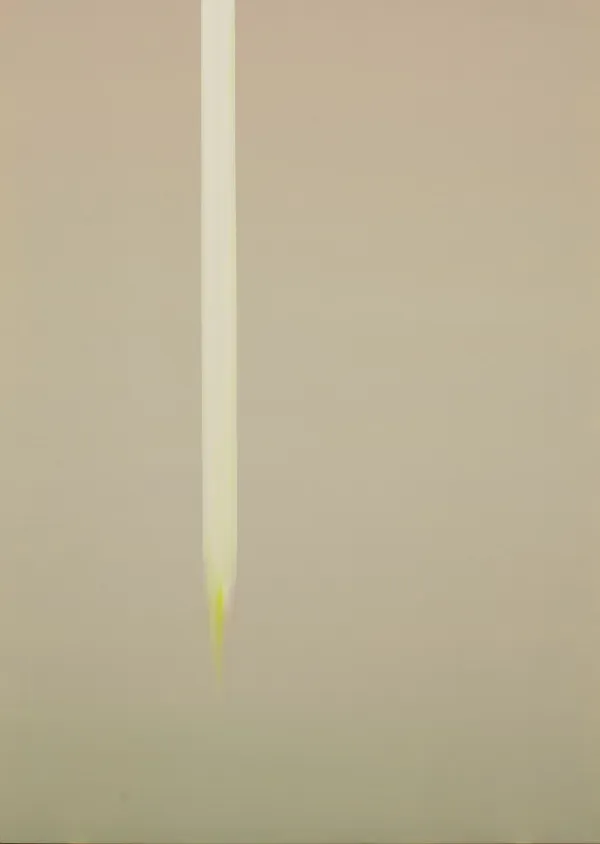 Wanda Koop, Sliver, 2021