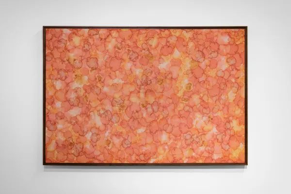 Patrick Coutu, Solis, 2022