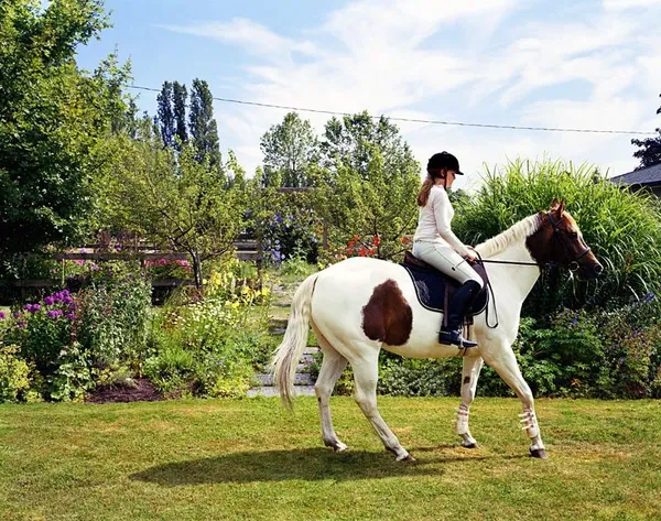 Scott McFarland, Reverse Horse, Victoria Moes Practices with Oscar, 2004