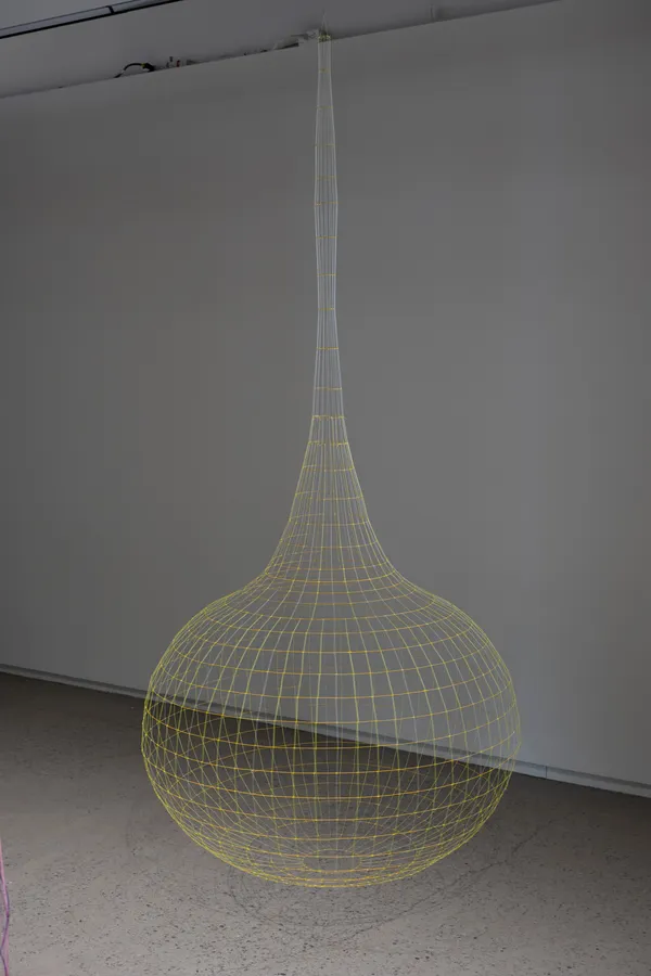 Sarah Stevenson, Tournesol, 2024