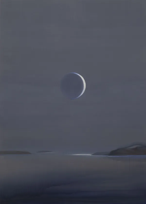 Wanda Koop, Darkside, 2020