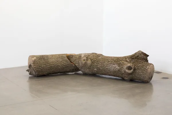 Maskull Lasserre, Something About Succession, 2016