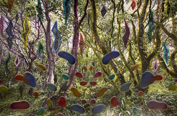 Sarah Anne Johnson, CCW, 2021