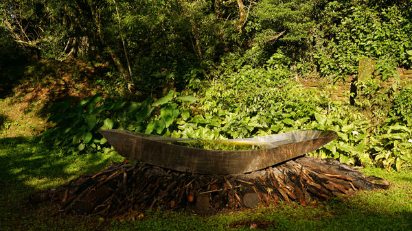 Tropical Molecule | Hugo França and Thiago Rocha Pitta