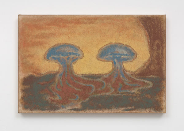 Martyn Cross, Soil Sense, 2022