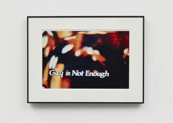John Waters, Gay is Not Enough, 2006