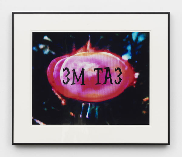 John Waters, Eat Me, 2006