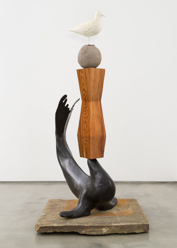 Department of Seagulls