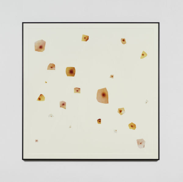 John Waters, 21 Pasolini Pimples, 2006