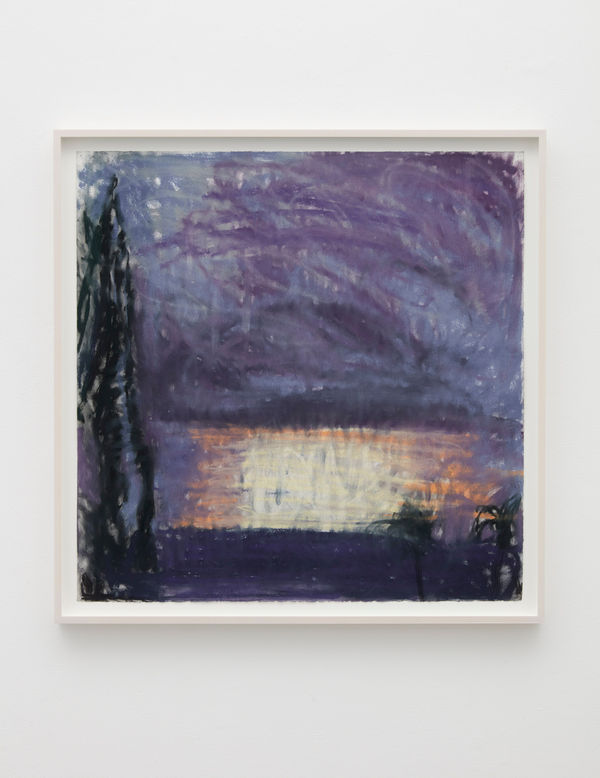 Nevis, January #3, 2007-2008