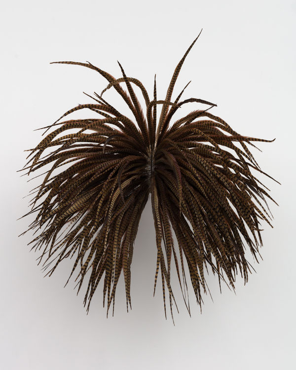 Allison Janae Hamilton, Ringneck Mask, 2021