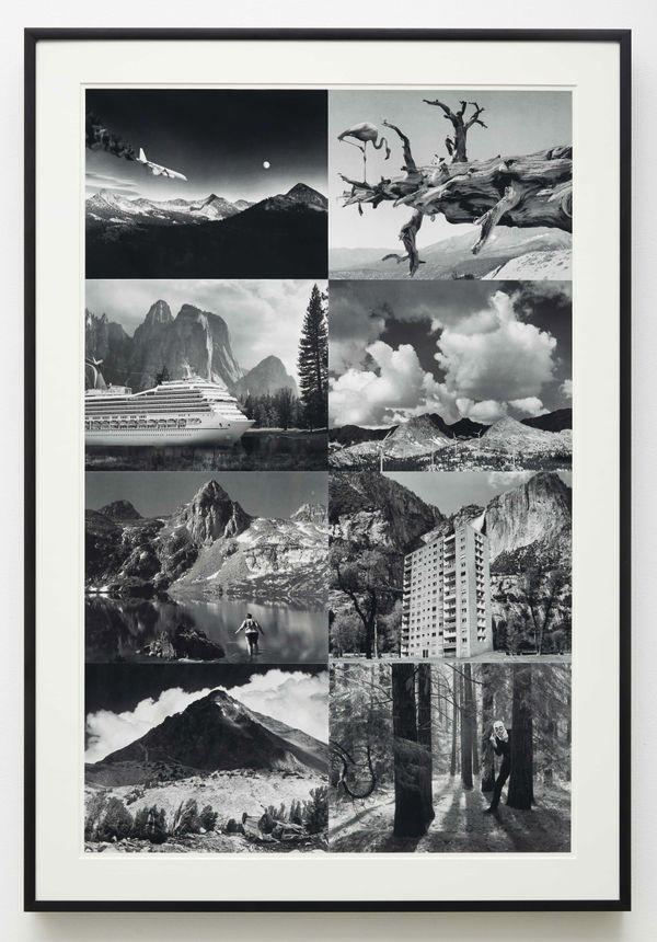 John Waters, Cancel Ansel, 2014