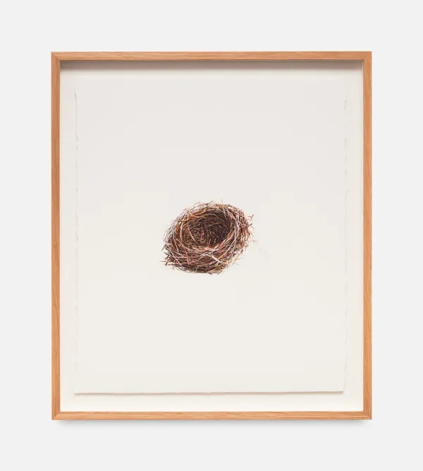 Boo Saville, Nest, 2022