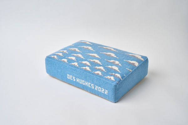 Des Hughes, Push it Down, 2022