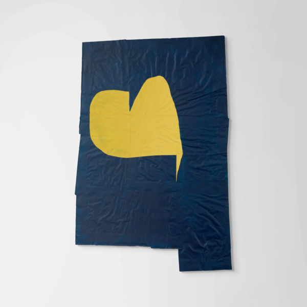 Nancy Murphy Spicer, Disrupted Drawing Large 20, 2015