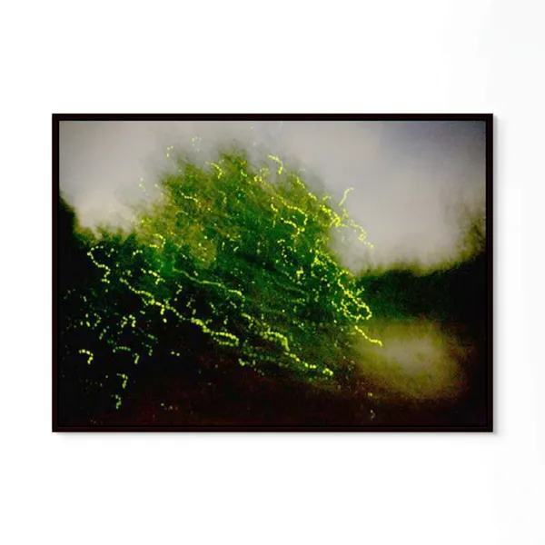 Elijah Gowin, Firefly Reflections, Selangor River, Malaysia, 2017