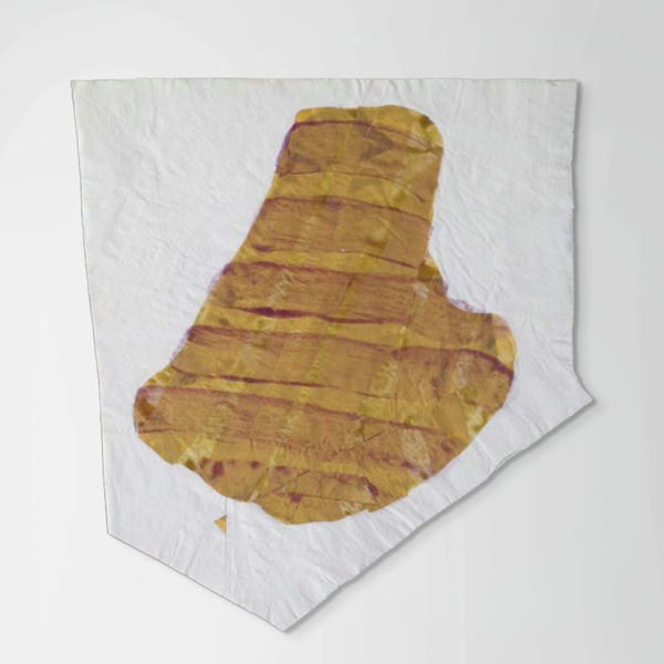 Nancy Murphy Spicer, Disrupted Drawing Small 11, 2015