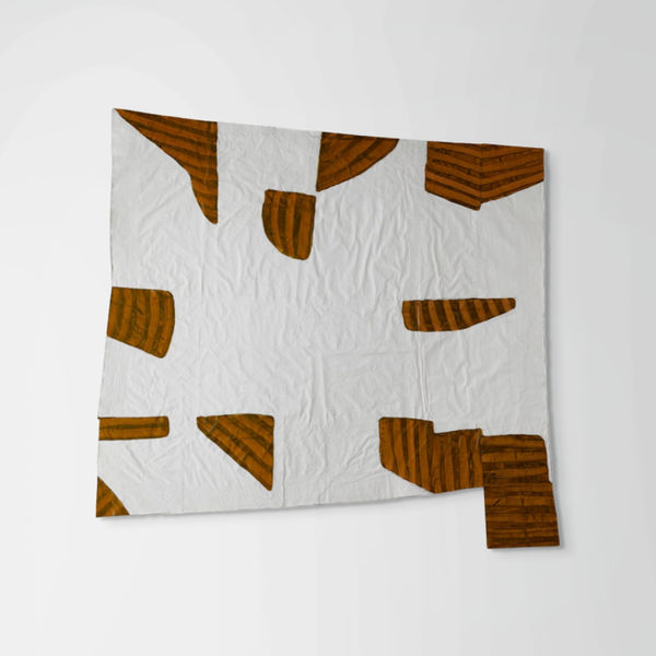 Nancy Murphy Spicer, Disrupted Drawing Large 24, 2015