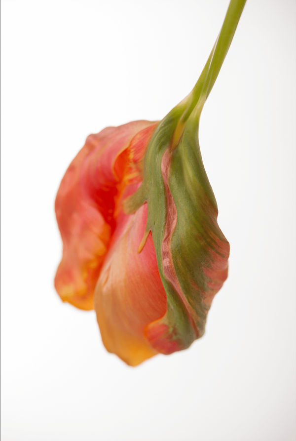 Margarete Fuchs Embrace, 2020