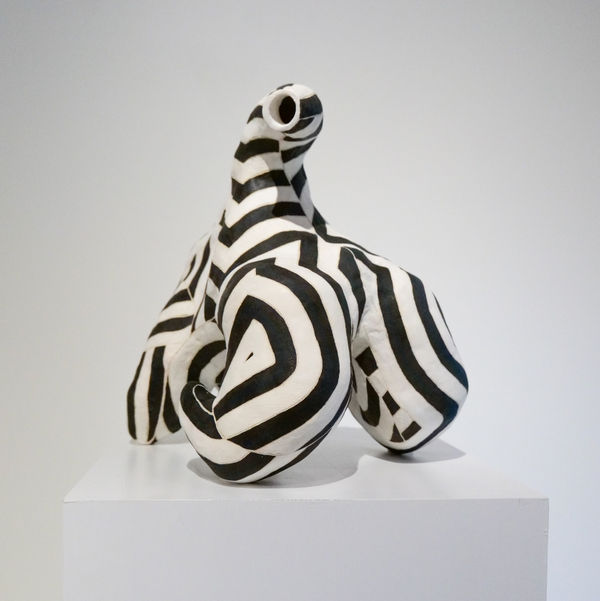 Abby Kasonik Signal, 2024