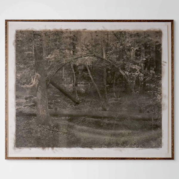 Caroline Minchew, Vernal, 2023