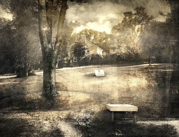 David Douglas Almost, 2018