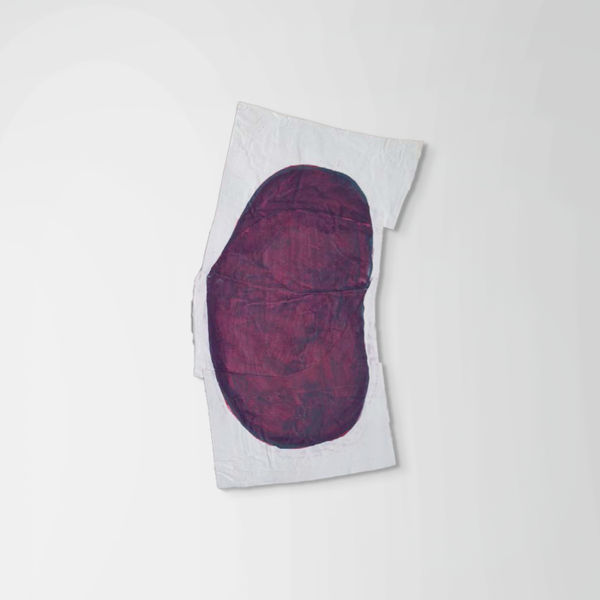 Nancy Murphy Spicer, Disrupted Drawing Small 56, 2015