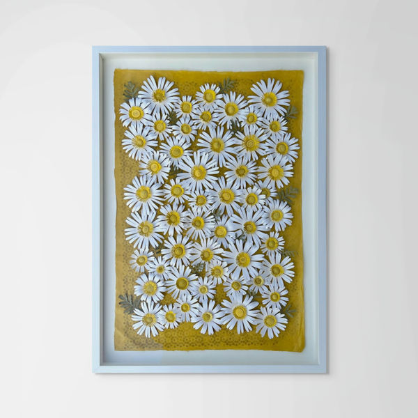 Raven Smith Sunshine Daisies, 2024