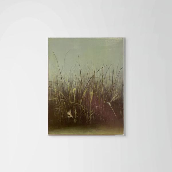 Robin Braun Untitled Grasses, 2014