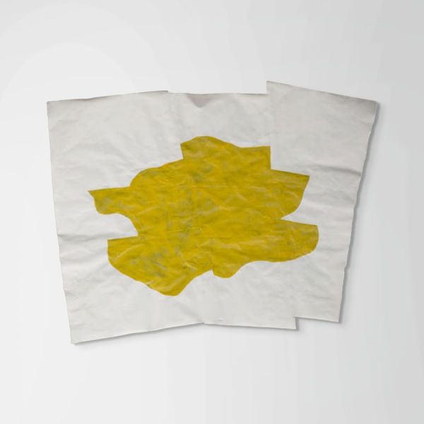 Nancy Murphy Spicer, Disrupted Drawing Large 13, 2013